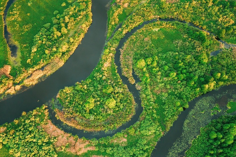 aerial-view-green-forest-woods-and-river-landscape-2026-01-09-06-29-58-utc