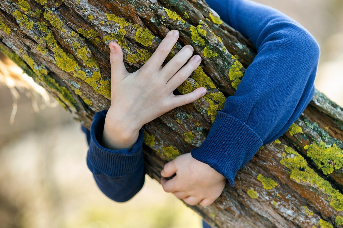 close-up-of-child-hands-embracing-a-tree-trunk-2026-03-16-00-35-54-utc
