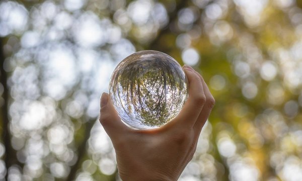 Why We Believe What We See