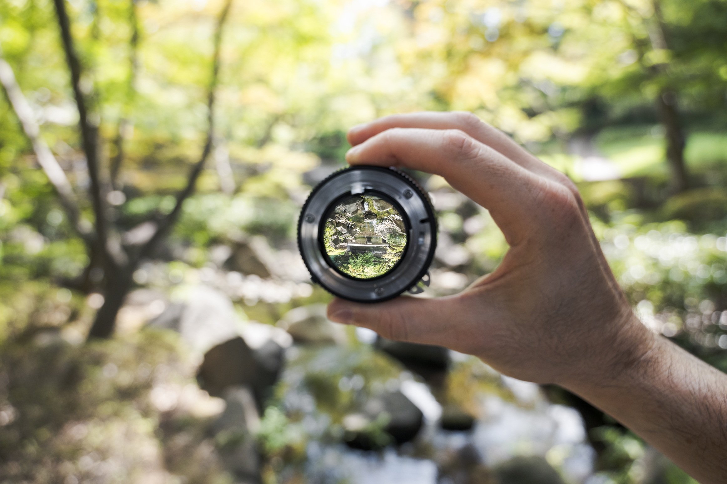 lens-focus-on-forest-stream-through-camera-lens-2026-03-20-04-12-43-utc