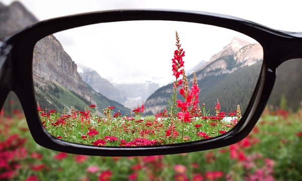 Are We Losing the Ability to Focus?