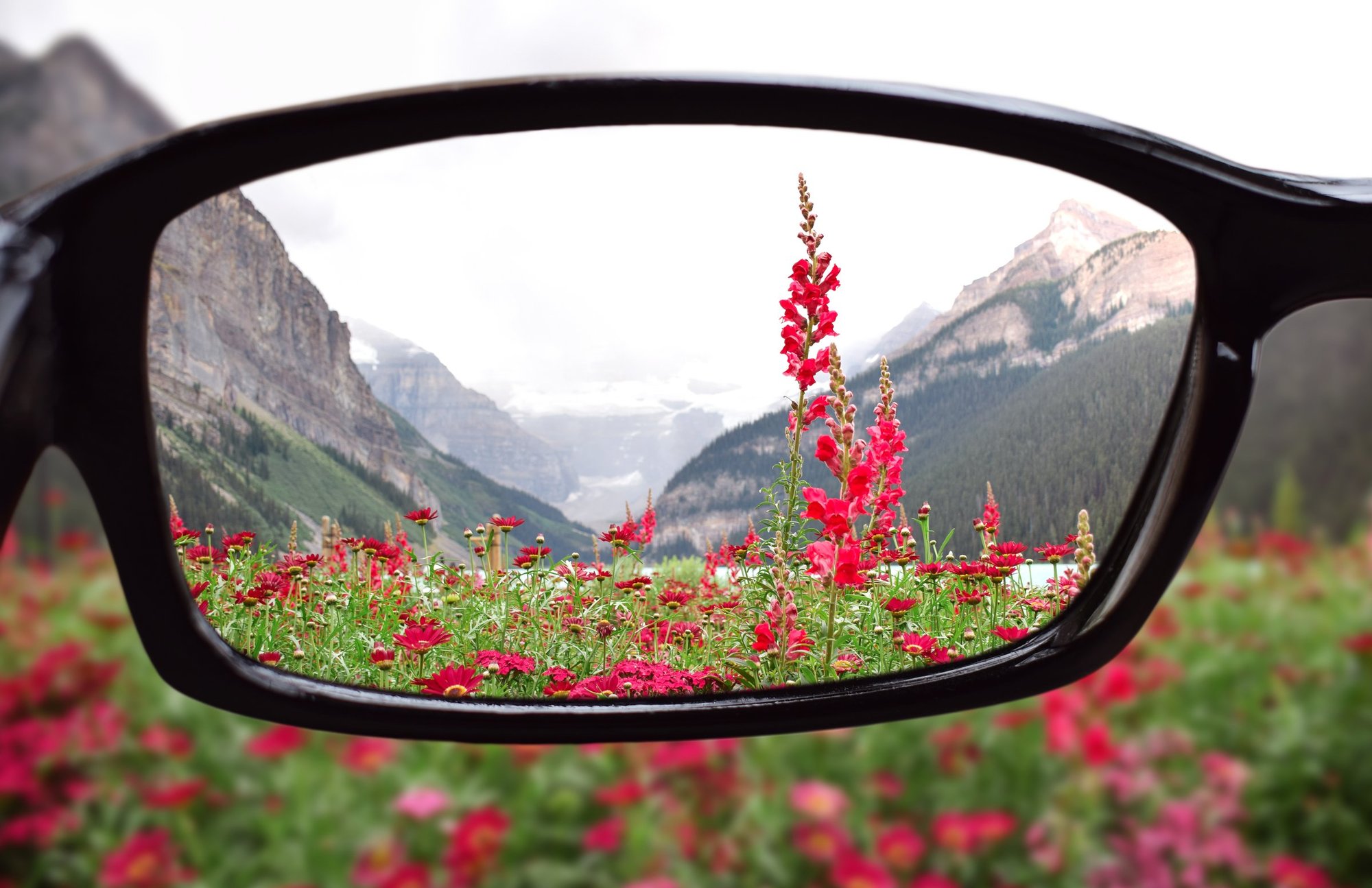 Are We Losing the Ability to Focus?