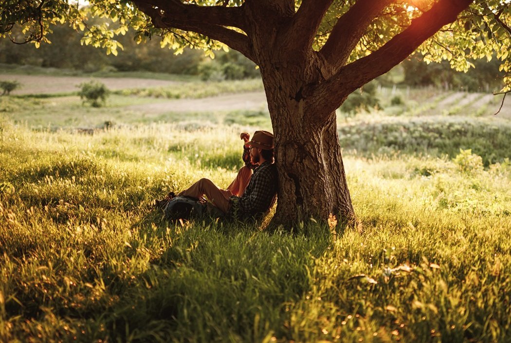 man-leans-against-tree-in-golden-field-2026-03-25-01-21-11-utc