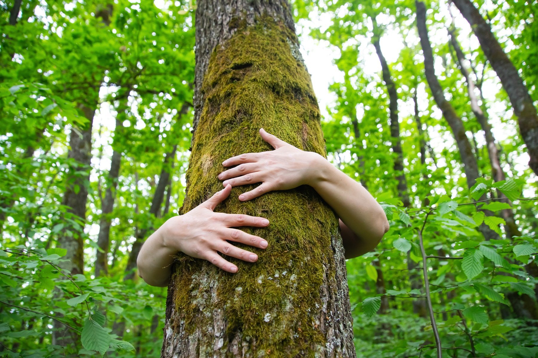 nature-lover-hugging-trunk-tree-nature-loving-f-2026-01-09-07-41-50-utc