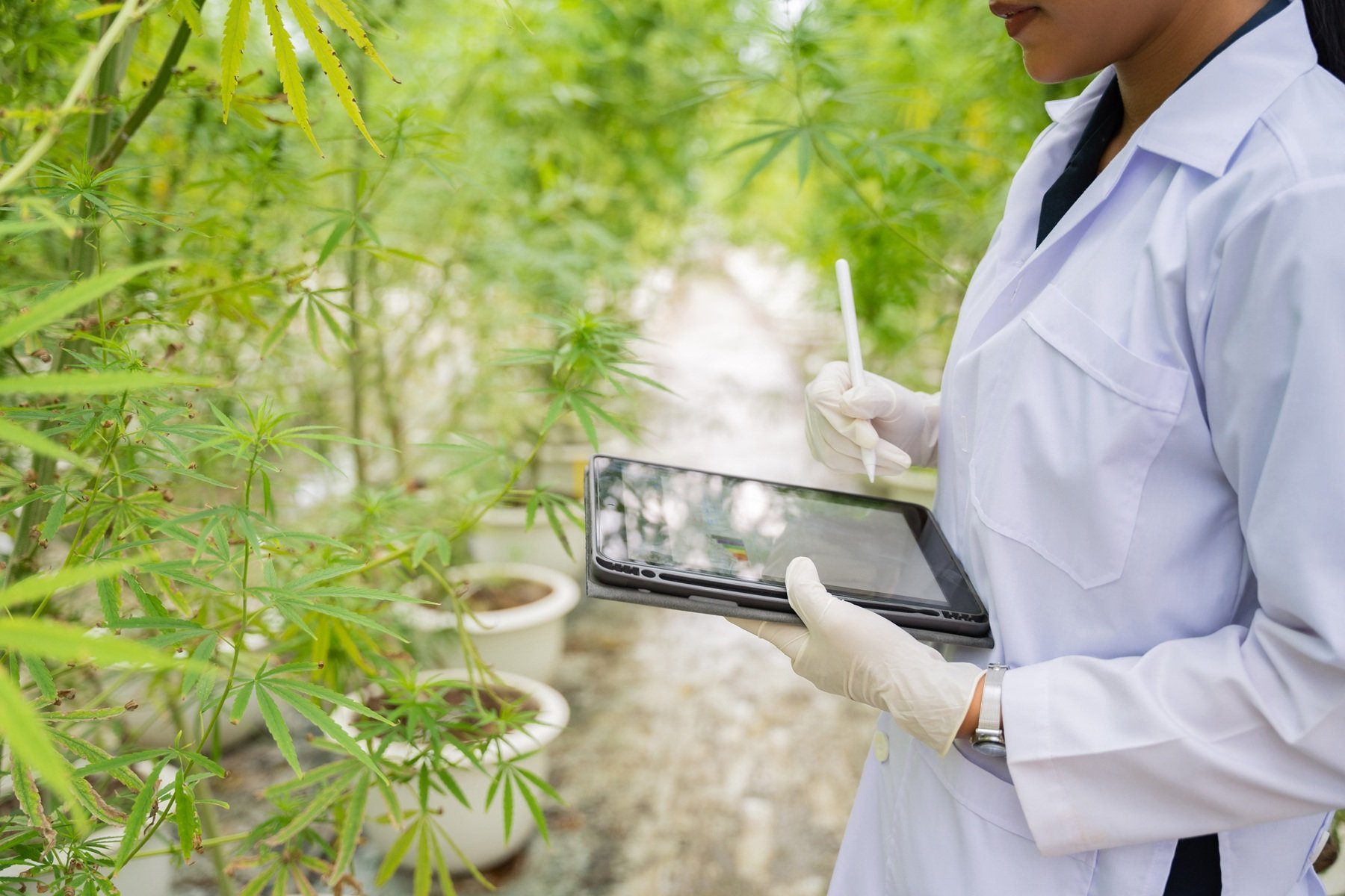 scientist-inspecting-plants-with-tablet-in-greenho-2026-01-11-08-42-58-utc